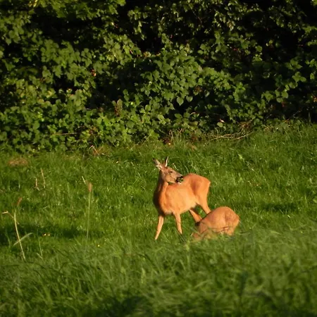 Appartamento Du Coté De Chez Jeanne,