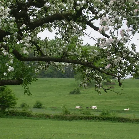 Du Coté De Chez Jeanne, Appartamento *