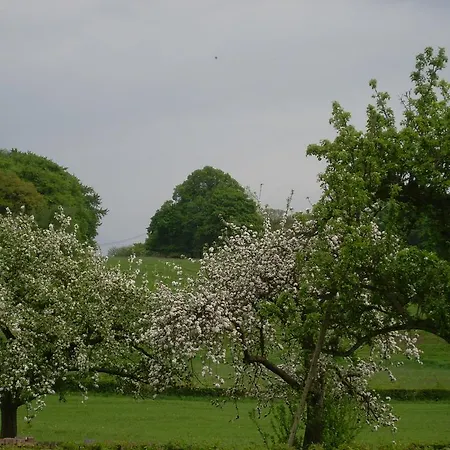 Du Cote De Chez Jeanne, Apartament